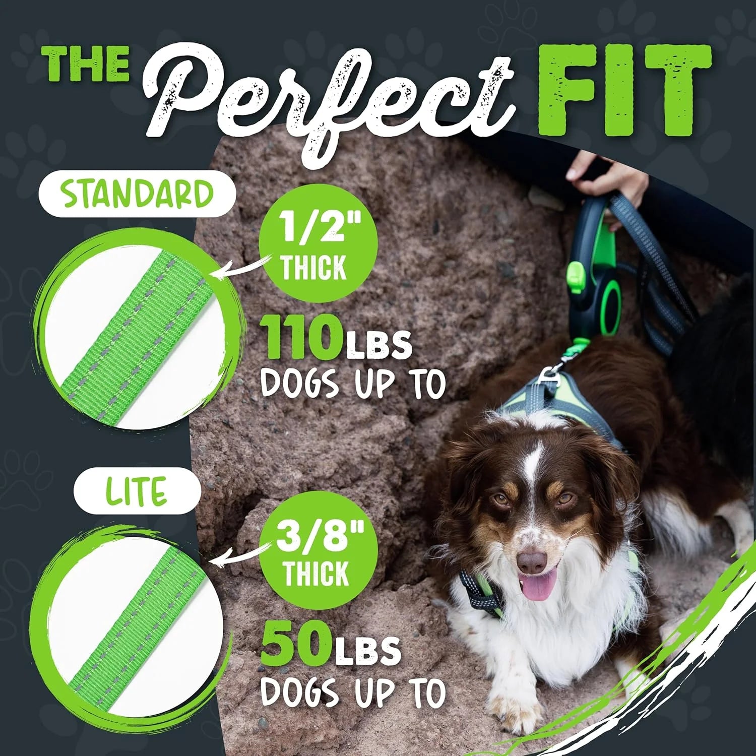 Mighty Paw Retractable Dog Leash 2.0 – 16ft Reflective Nylon for Dogs up to 50 lbs (Green)