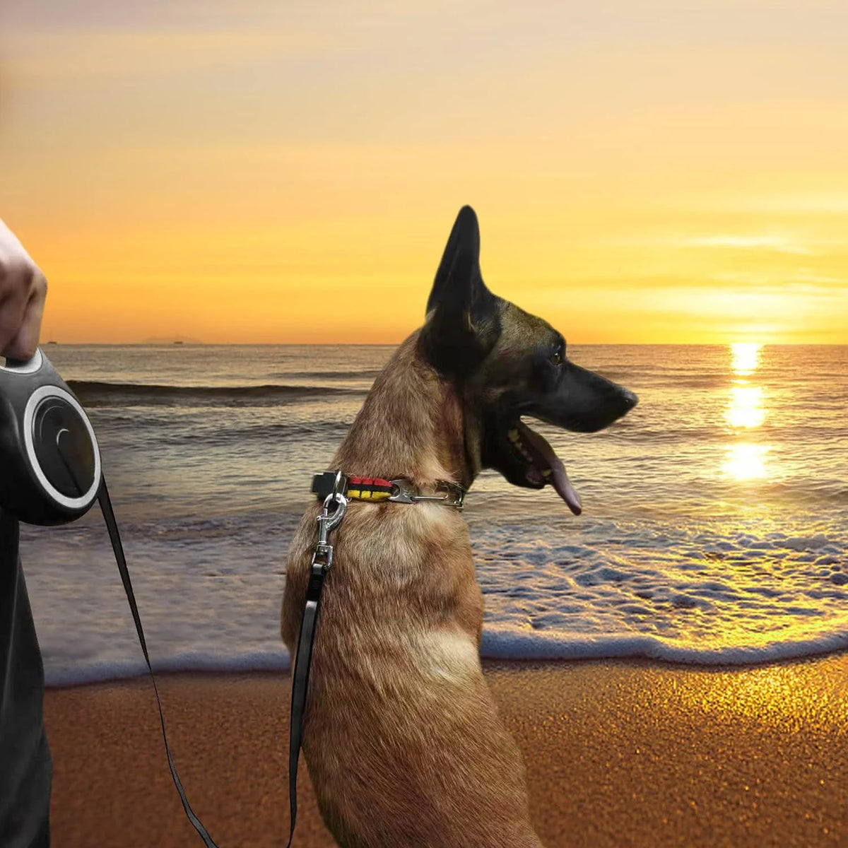 26ft Retractable Dog Leash – Heavy Duty for Dogs up to 110 lbs