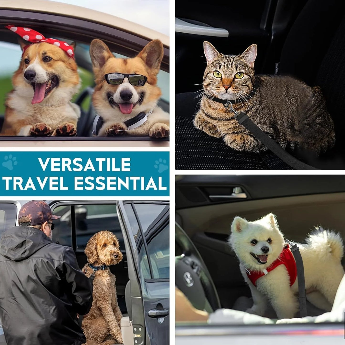 2 Pack Adjustable Dog Seat Belt for Car